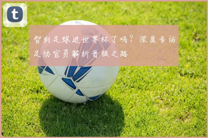 智利足球进世界杯了吗？深度专访足协官员解析晋级之路
