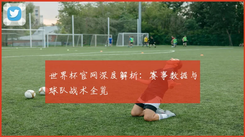 世界杯官网深度解析：赛事数据与球队战术全览